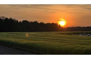 Wohnung mieten in 31535 Neustadt, 3-Zimmer Erdgeschoßwohnung (OT Eilvese) in ruhiger Lage mit wunderschönem Ausblick!