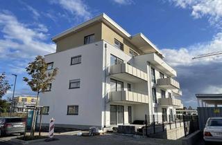 Penthouse mieten in Neugraben, 68526 Ladenburg, Neubau Zweitbezug: Helle 3-ZKB Penthouse mit Terrasse und EBK in Ladenburg Nordstadt
