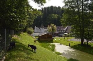 Haus kaufen in 07751 Großlöbichau, Jena 15 Min - Im Grünen, Familienidyll, Doppelhaus möglich und zusätzliche Wohneinheiten