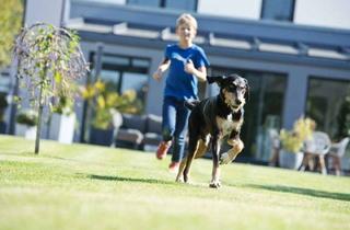 Haus kaufen in 39291 Schermen, Wohnen in familiärer Umgebung!