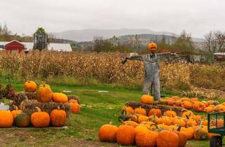 Haus kaufen in 08393 Dennheritz, Jetzt mit neuer Förderung sicher bauen!