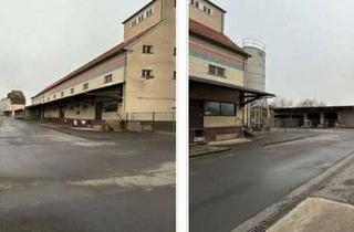 Grundstück zu kaufen in 37269 Eschwege, Gewerbegrundstück mit Altbestnand +++ Hallen - Siloanlage und Tankstelle++++