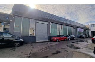 Gewerbeimmobilie mieten in Industriestraße 19-21, 68623 Lampertheim, Große Werkstatt oder Lagerhalle mit Rolltor – Top Lage in Lampertheim