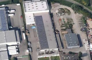 Gewerbeimmobilie mieten in Daimlerstraße 12/1, 69469 Weinheim, Padelhalle oder große Hochregallagerfläche – in Weinheim zu vermieten