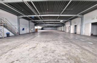 Gewerbeimmobilie mieten in Daimlerstraße 12, 69469 Weinheim, Attraktive Produktionshalle mit Lagerfläche – individuell nutzbar und sofort verfügbar in Weinheim