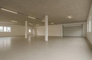 Büro zu mieten in 63069 Rosenhöhe, Industriehalle mit Büro & ausreichend Stellplätzen in hervorragender Lage in Offenbach.