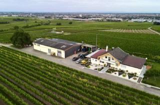 Gewerbeimmobilie kaufen in Kaiserberg 15, 76829 Nußdorf, Großzügiges Grundstück (3555qm) mit Lagerhalle und Wohnhaus in Landau / Nußdorf (§35 BauGB)