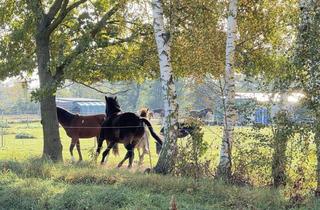 Grundstück zu kaufen in 14612 Falkensee, ++ Bauträger aufgepasst: Teilbares Grundstück für 2 Stadtvillen mit 2 VG in ruhiger Lage ++