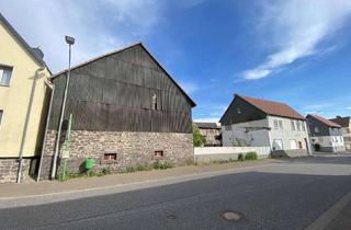 Immobilie kaufen in 35410 Hungen, Ihr vielseitiges Sanierungsprojekt mit historischem Flair