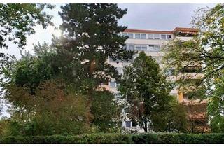 Penthouse kaufen in Dornheimer Ring, 68309 Käfertal, Penthousewohnung mit Panoramablick & Einzelgarage in Mannheim-Käfertal: 3,5 ZKBB, kernsaniert