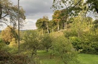 Wohnung mieten in 44575 Castrop-Rauxel, Ohne Balkon, DG im Dorf Rauxel frei für 1-2 berufstätige Pers.