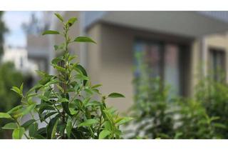 Wohnung mieten in Helferstraße 11, 72555 Metzingen, Stillvolle Neubau Stadtwohnung - Möbliert, 2-Zimmer mit Tiefgarage&Terasse&Gartenanteil