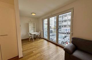 Wohnung mieten in Grünerstraße, 90763 Südstadt, Sonnenlogen – Möbliertes 1 Zi Apartment an der Rednitz