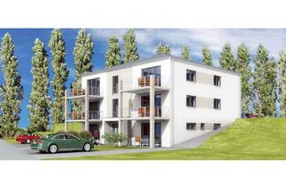 Wohnung mieten in 33014 Bad Driburg, Neubau 3-Zimmer Wohnung mit Terrasse im EG in Bad Driburg- Neuenheerse