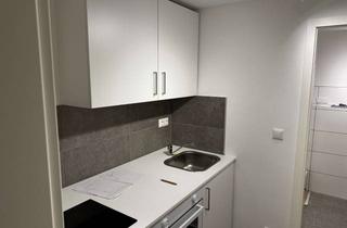 Wohnung mieten in 64584 Biebesheim, Erstbezug nach Sanierung mit Einbauküche: stilvolle 2-Zimmer-Wohnung in Biebesheim