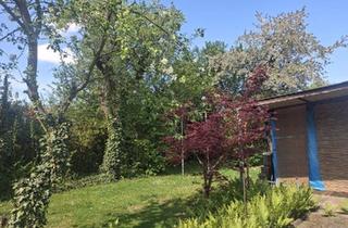 Doppelhaushälfte kaufen in 13088 Berlin, Berlin - Doppelhaushlfte mit Grundstück