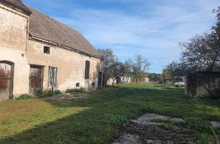 Bauernhaus kaufen in 04924 Bad Liebenwerda, Bad Liebenwerda - 2 Seitenhof (Renovierung bedürftig)