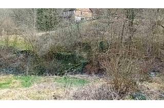 Grundstück zu kaufen in 56841 Traben-Trarbach, Traben-Trarbach - TRAUMHAFTE BAUMÖGLICHKEIT