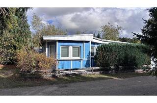 Haus kaufen in 38518 Gifhorn, Gifhorn - Gepflegtes Ferienhaus am See, ganzjährig bewohnbar