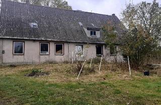 Haus kaufen in 17111 Borrentin, Borrentin - Haus plus Scheune