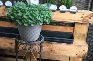 Wohnung mieten in Schlesische Straße 27, 31008 Elze, Gemütliche 3-Zimmer-Wohnung mit großräumigem Balkon in Elze