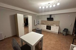 Wohnung mieten in 63110 Rodgau, Modernisiertes 1-Zimmer Apartment voll ausgestattet