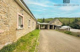 Haus kaufen in 67806 Rockenhausen, Historisches Hofgut-Ensemble (3 Häuser) mit 16.200 m² Grundstück - in Rockenhausen