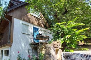 Haus kaufen in Im Älmel 22, 69436 Schönbrunn, Großzügiges Anwesen mit viel Potenzial in Schönbrunn von Privat, provisionsfrei !