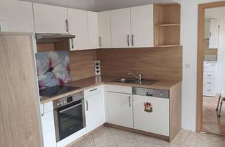 Doppelhaushälfte kaufen in 06313 Wimmelburg, Charmante Doppelhaushälfte mit Einliegerwohnung