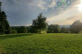 Haus kaufen in 51702 Bergneustadt, Gepflegtes und modernisiertes Zweifamilienhaus in Bergneustadt