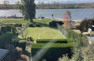 Haus mieten in Auf Dem Wingert 37, 53859 Niederkassel, Mehrgenerationenhaus in bester Rheinlage