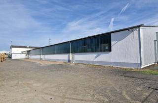 Büro zu mieten in Benzstraße, 57290 Neunkirchen, Lagerhalle mit Bürocontainer u. großer Außenfläche