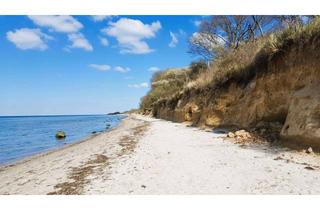 Grundstück zu kaufen in 23942 Dassow, Seltene Gelegenheit für Investoren