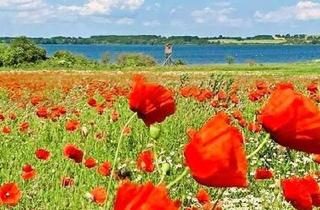 Grundstück zu kaufen in 23942 Dassow, Seltene Gelegenheit mit eigenem B-Plan