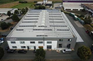 Lager kaufen in 32791 Lage, Attraktive Gewerbehalle mit mehreren Büroflächen in erstklassiger Lage Lages