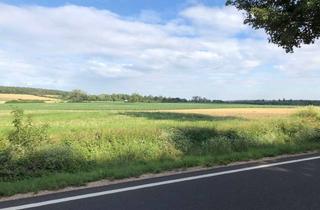 Gewerbeimmobilie kaufen in 38368 Grasleben, VERKAUF:Logistik-/Lagerfläche 15.000 m² bei Wolfsburg, A2- Anschluß