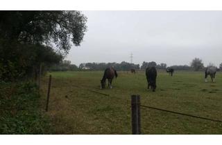 Gewerbeimmobilie kaufen in Am Euler, 85051 Ingolstadt, Landwirtschaftliches Grundstück (Grünland) Ortsrand IN-süd/west