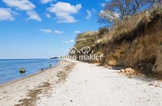 Grundstück zu kaufen in 23942 Dassow, Seltene Gelegenheit für Investoren