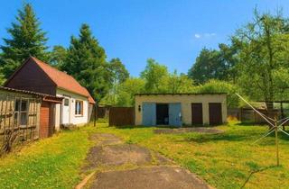 Einfamilienhaus kaufen in 39317 Güsen, Wohnhaus mit Nebengebäuden, Partyhaus und großem Garten – ideal für Familien und Naturliebhaber