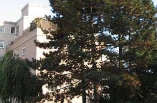 Wohnung mieten in Theodor-Heuss-Straße, 69469 Weinheim, 2-Zim. Wg. renoviert, parkähnliche Umgeb., gr. Balkon, seniorengerecht in gepflegter Anlage