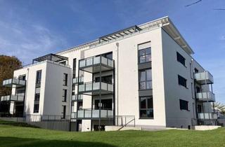 Wohnung mieten in Felkestraße 43, 65582 Diez, Elegante 2-Zimmer-Wohnung mit Balkon im 2. OG in Diez, barrierefrei mit EBK und TG-Stellplatz