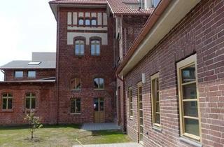 Wohnung mieten in Stresemannstraße 63, 16515 Oranienburg, "Egon N° 63®" - Wohnen an der Havel: Attraktive 3-Zimmer-Wohnung mit großer Gartenterrasse