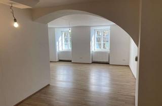 Wohnung mieten in Oberer Sand, 94032 Altstadt, Großzügige 1-Zimmer-Wohnung