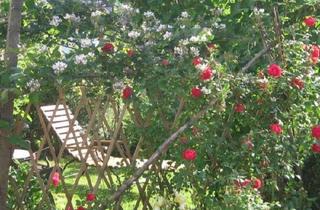 WG-Zimmer mieten in Dautensteinstraße 30, 77960 Seelbach, WG-Zimmer in Seelbach bei Lahr zu vermieten