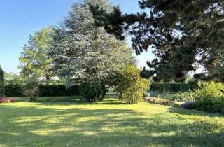 Haus kaufen in 89407 Dillingen, EFH / Bungalow mit Potential großes Grundstück mit Gartenparadies in Toplage