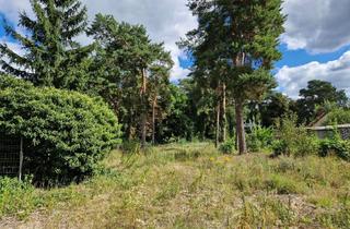 Grundstück zu kaufen in Waldpromenade, 15738 Zeuthen, Großzügiges Baugrundstück in Zeuthen - Inkl. Potential für den Bauturbo