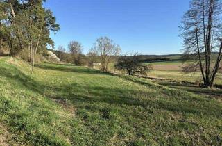 Gewerbeimmobilie kaufen in 97496 Burgpreppach, Grundstückspaket bei Gemeinfeld - LWF/Wiese/Zufahrt