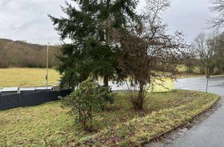 Gewerbeimmobilie kaufen in Neudöhlau, 95182 Döhlau, Neudöhlau - kleine Freizeitfläche mit zusätzlichen Grundstück (Wald- o. Ausgleichsfläche)