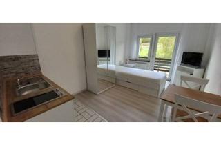 Wohnung mieten in Hauptstraße, 61276 Weilrod, 1-Zimmer-Appartement, möbliert mit Balkon in Weilrod