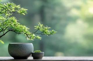 Wohnung kaufen in 84478 Waldkraiburg, Waldkraiburg - Sanierte Eigentumswohnung in Waldkraiburg zu verkaufen.